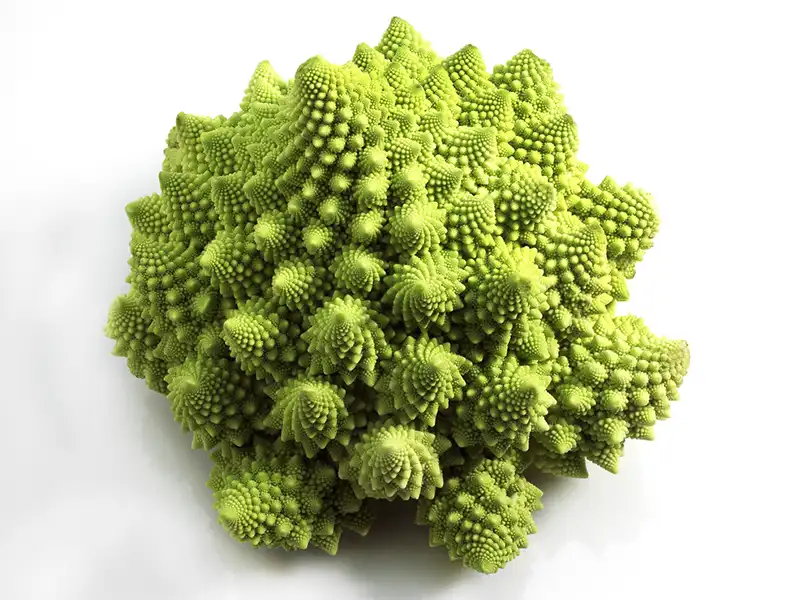 Le vortex du chou romanesco