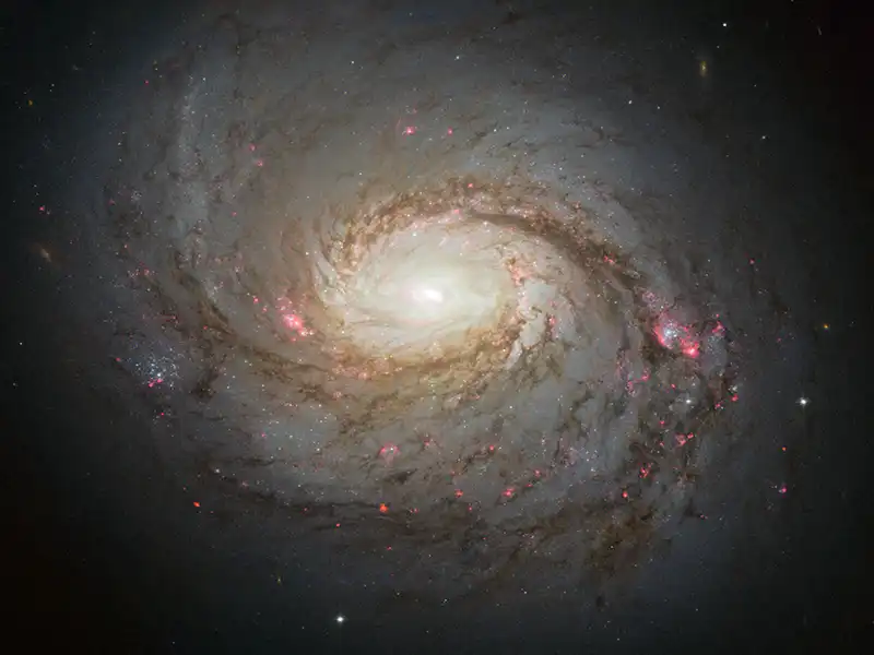 Le vortex dans la nature : galaxie en spirale