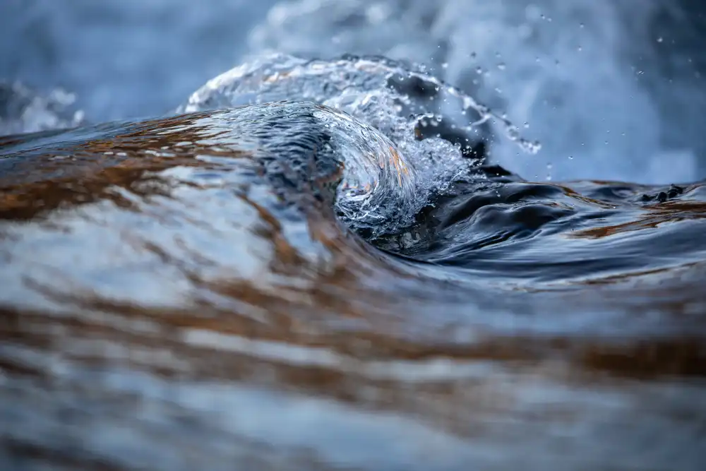 Vortex naturel de l’eau observable dans une rivière en mouvement