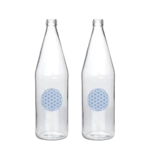 Lot 2 bouteilles en verre 75 cl pour Devajal